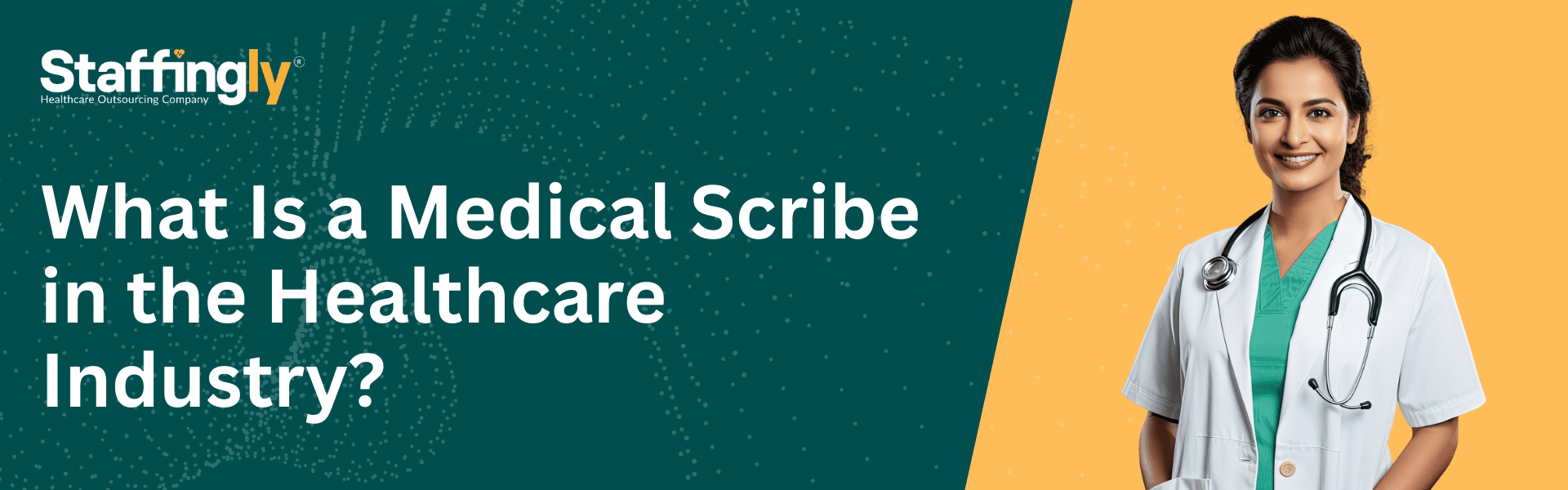 The role of medical scribes in healthcare.
