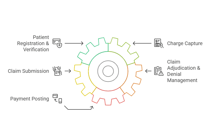 A healthcare provider reviewing revenue reports—How Telemedicine RCM Impacts Healthcare Finances